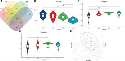 Characterizing the supragingival microbiome of healthy pregnant women